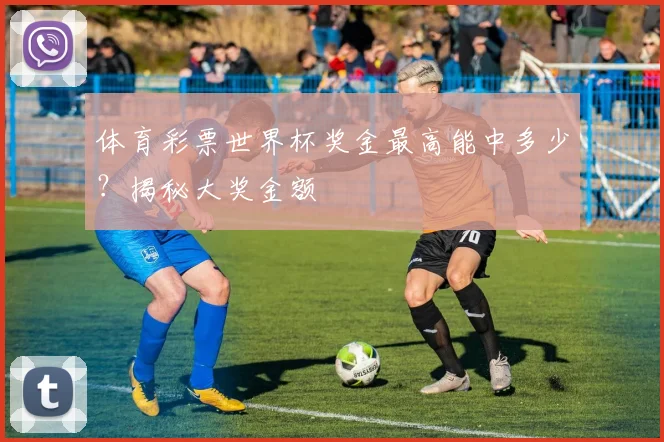 体育彩票世界杯奖金最高能中多少？揭秘大奖金额