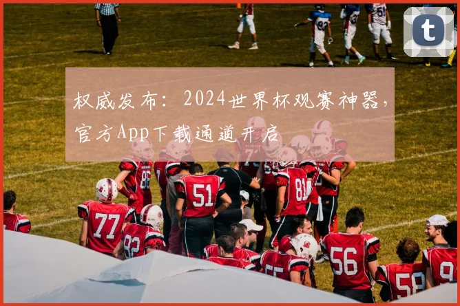 权威发布：2024世界杯观赛神器，官方App下载通道开启