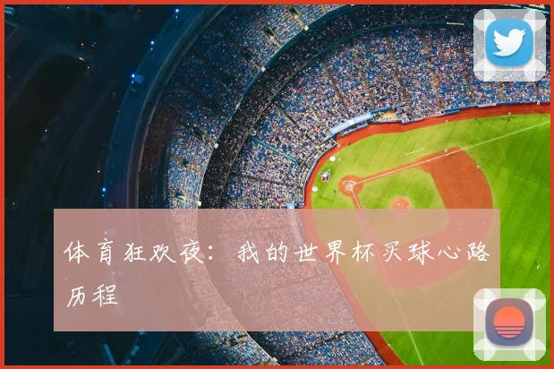 体育狂欢夜：我的世界杯买球心路历程