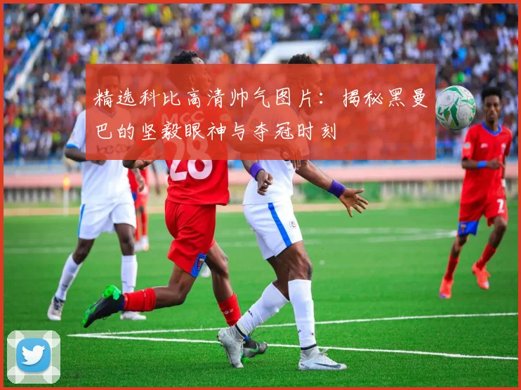 精选科比高清帅气图片：揭秘黑曼巴的坚毅眼神与夺冠时刻